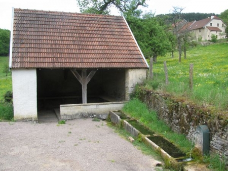 Vaux Saules-lavoir 4 dans hameau Cheneroilles