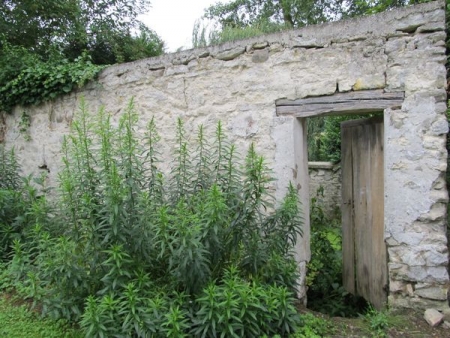 Versigny-lavoir dans hameau Droizelles