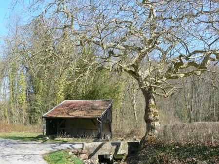 Vienne le Chateau dans la Marne-lavoir dans hameau La HarazÃ©e par Micheline et Paul